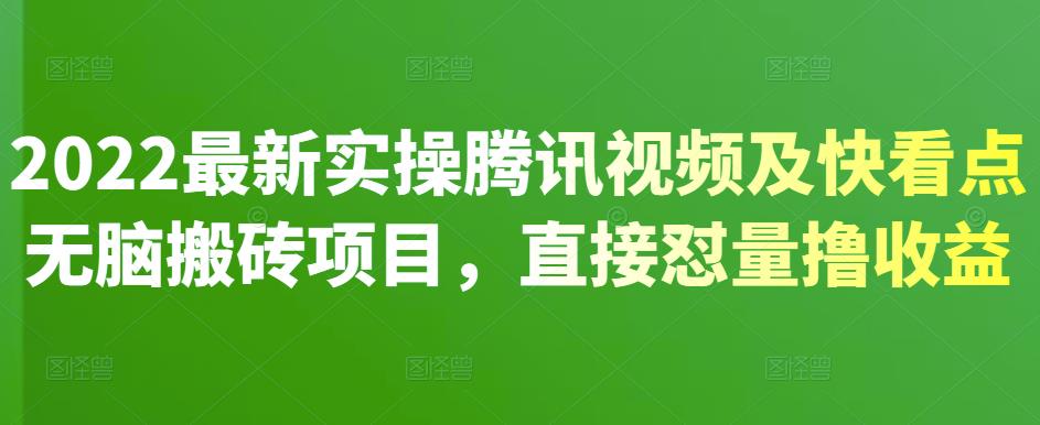 2022最新实操腾讯视频及快看点无脑搬砖项目，直接怼量撸收益￼-网亿资源平台