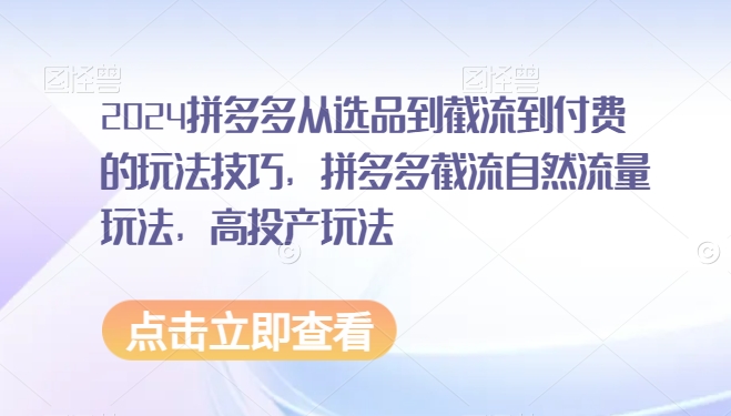 2024拼多多从选品到截流到付费的玩法技巧，拼多多截流自然流量玩法，高投产玩法-网亿资源平台