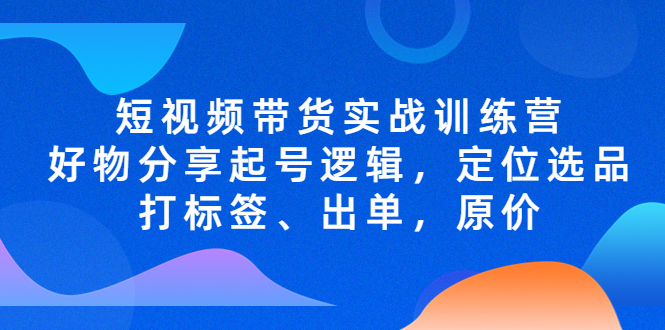 短视频带货实战训练营，好物分享起号逻辑，定位选品打标签、出单，原价-网亿资源平台