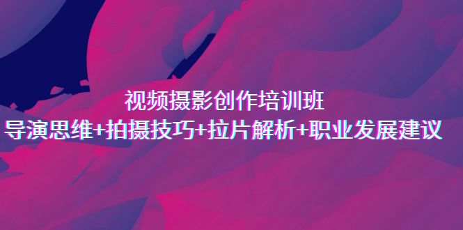 视频摄影创作培训班，导演思维+拍摄技巧+拉片解析+职业发展建议-网亿资源平台