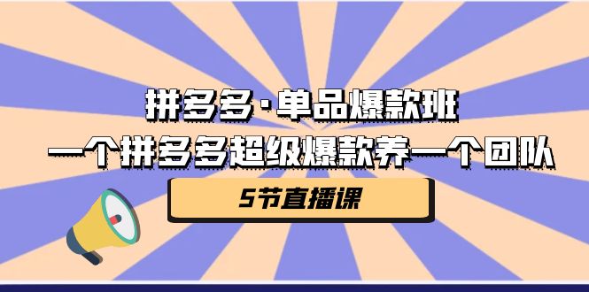 拼多多·单品爆款班，一个拼多多超级爆款养一个团队（5节直播课）-网亿资源平台