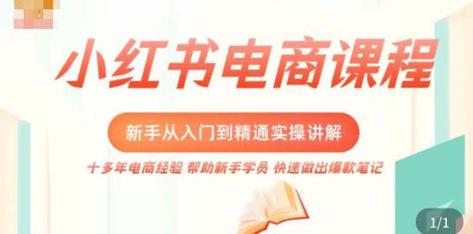 小红书电商新手入门到精通实操课，从入门到精通做爆款笔记，开店运营-网亿资源平台