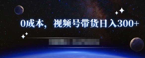 零基础视频号带货赚钱项目，0成本0门槛轻松日入300+【视频教程】￼-网亿资源平台