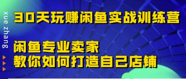 30天玩赚闲鱼实战训练营，闲鱼专业卖家教你如何打造自己店铺￼-网亿资源平台