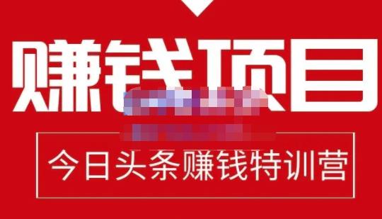 懒人领域·今日头条项目玩法，头条中视频项目，单号收益在50—500可批量￼-网亿资源平台