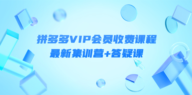 某社群·拼多多VIP会员收费课程，最新集训营+答疑课-价值3299元￼-网亿资源平台
