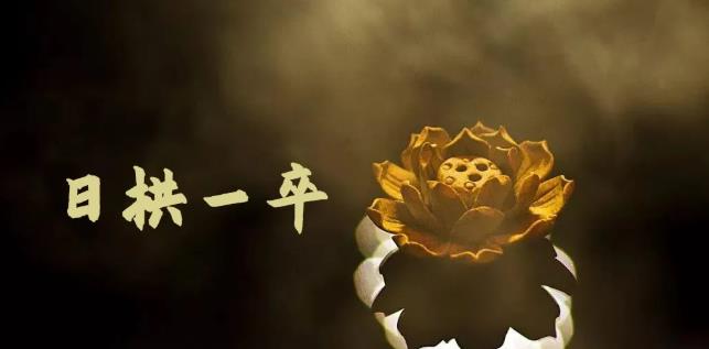 23个空手套项目大合集，0成本0投入，干了就赚钱纯空手套生意经-网亿资源平台