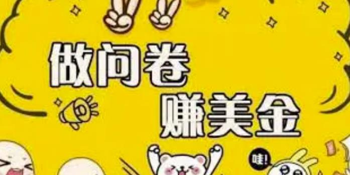 外边收费四五千的国外问卷调查项目，单人一天操作100美刀，真正的搬砖项目！-网亿资源平台