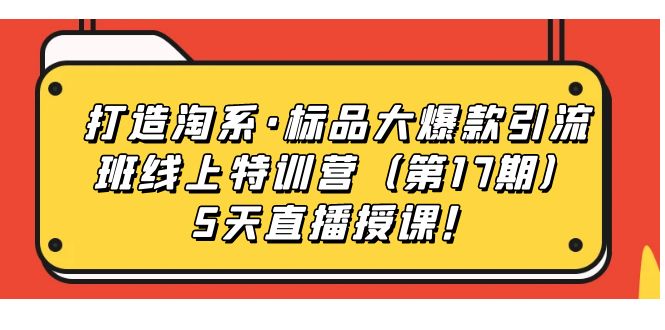 打造淘系·标品大爆款引流班线上特训营（第17期）5天直播授课！-网亿资源平台