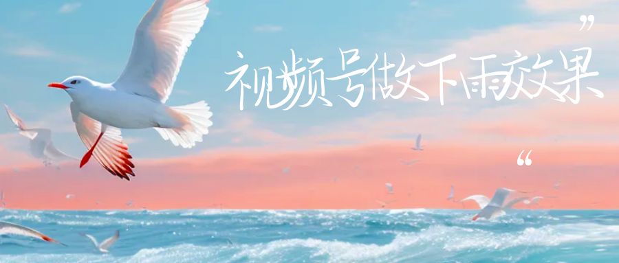 视频号做下雨视频一个账号一周涨粉10W+年入100w-网亿资源平台