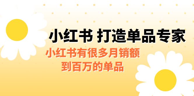 某公众号付费文章《小红书 打造单品专家》小红书有很多月销额到百万的单品-网亿资源平台