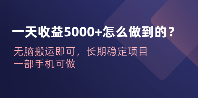 一天收益5000+怎么做到的？无脑搬运即可，长期稳定项目，一部手机可做-网亿资源平台