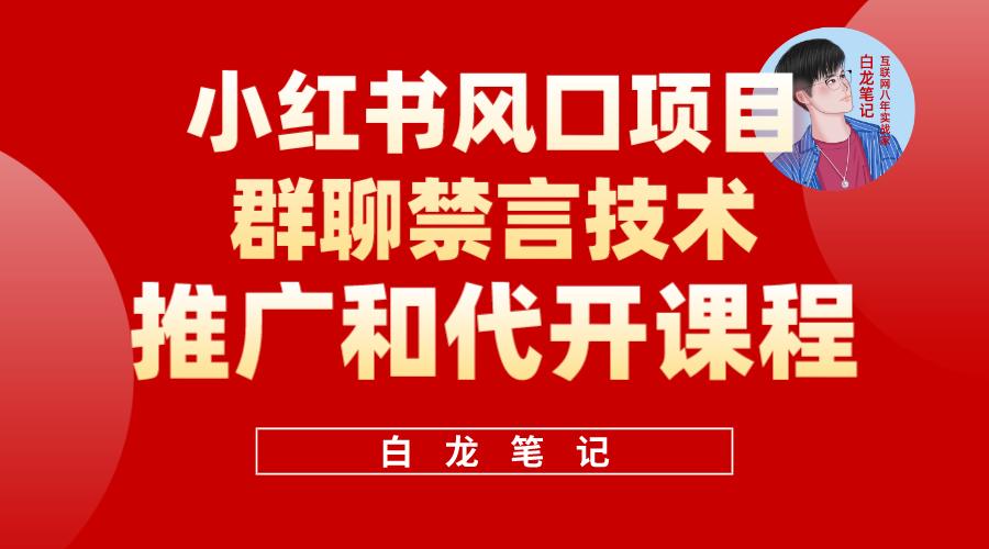 小红书风口项目日入300+，小红书群聊禁言技术代开项目，适合新手操作-网亿资源平台