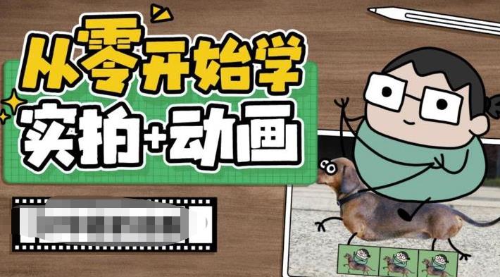 从零开始学实拍加动画，实拍加动画创意教程（49节视频课）-网亿资源平台
