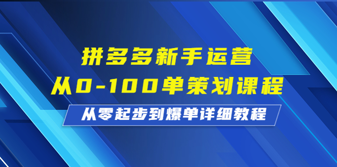 拼多多新手运营从0-100单策划课程，从零起步到爆单详细教程-网亿资源平台