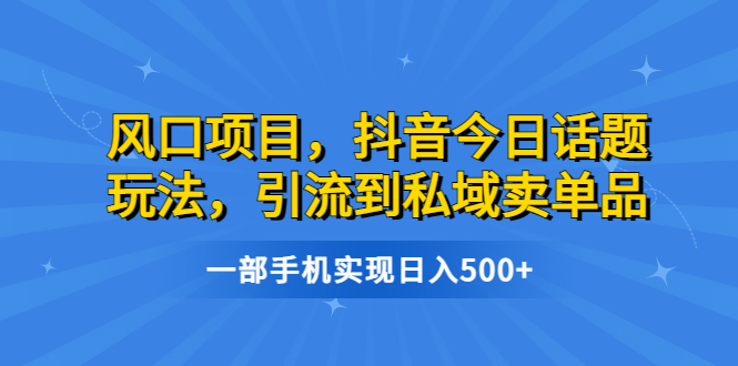 风口项目，抖音今日话题玩法，引流到私域卖单品，一部手机实现日入500+-网亿资源平台
