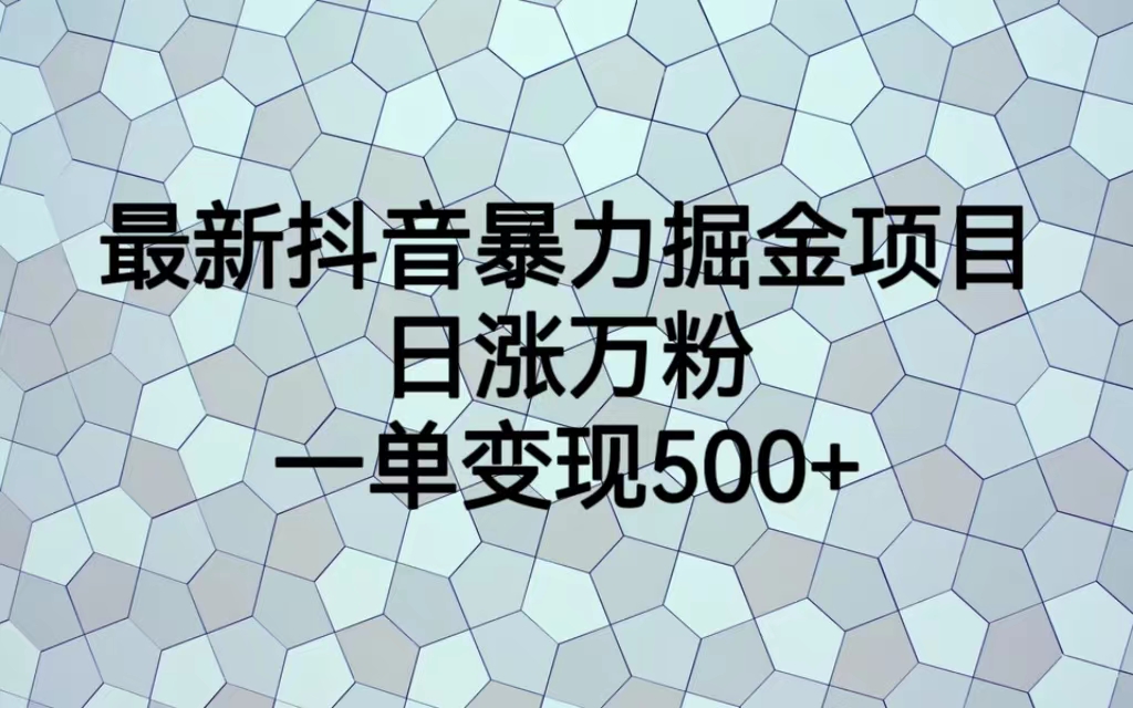 最新抖音暴力掘金项目，日涨万粉，一单变现500+-网亿资源平台
