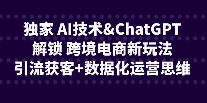 独家 AI技术&ChatGPT解锁 跨境电商新玩法，引流获客+数据化运营思维-网亿资源平台