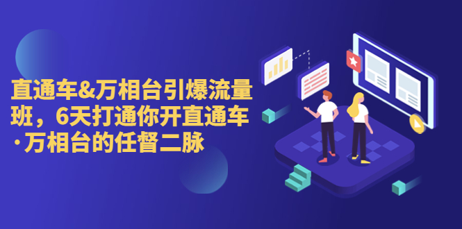 直通车+万相台引爆流量班，6天打通你开直通车·万相台的任督 二脉-网亿资源平台
