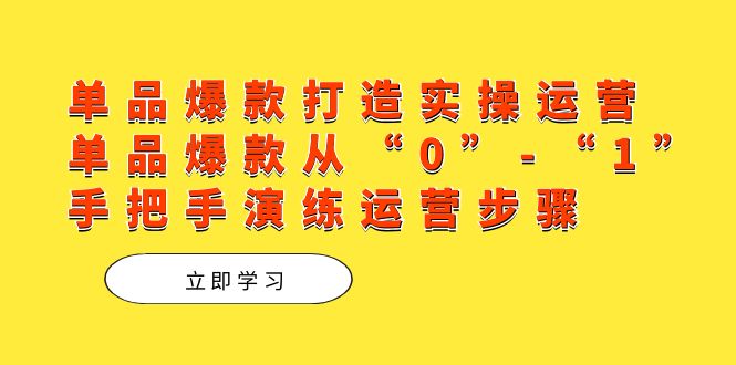 单品爆款打造实操运营，单品爆款从“0”-“1”手把手演练运营步骤-网亿资源平台