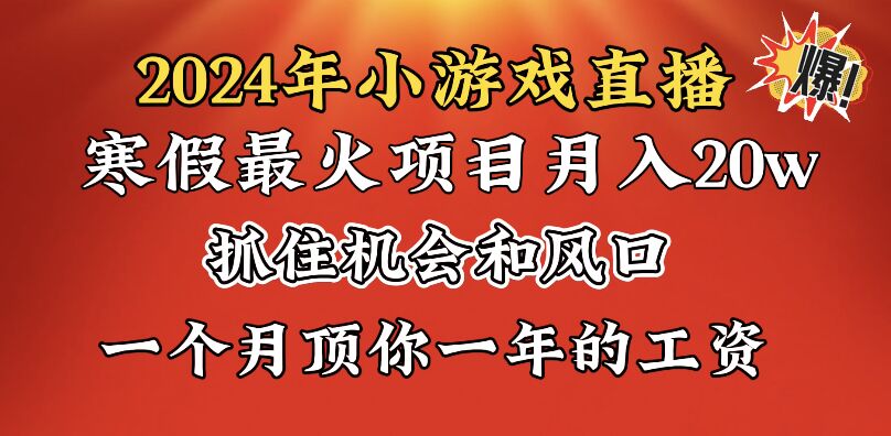 2024年寒假爆火项目，小游戏直播月入20w+，学会了之后你将翻身-网亿资源平台