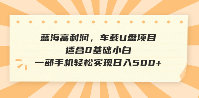 蓝海高利润，车载U盘项目，适合0基础小白，一部手机轻松实现日入500+-网亿资源平台
