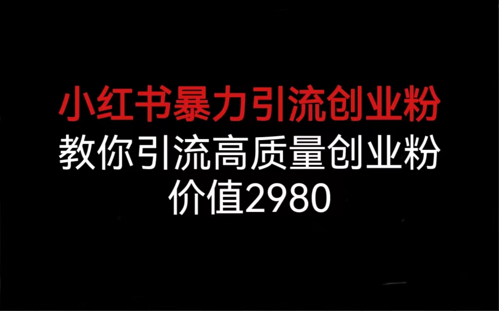 小红书暴力引流创业粉，教你引流高质量创业粉，价值2980-网亿资源平台