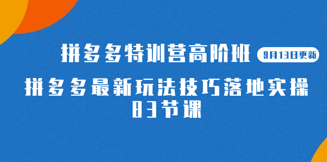 2023拼多多·特训营高阶班【9月19日更新】拼多多最新玩法技巧落地实操-83节-网亿资源平台