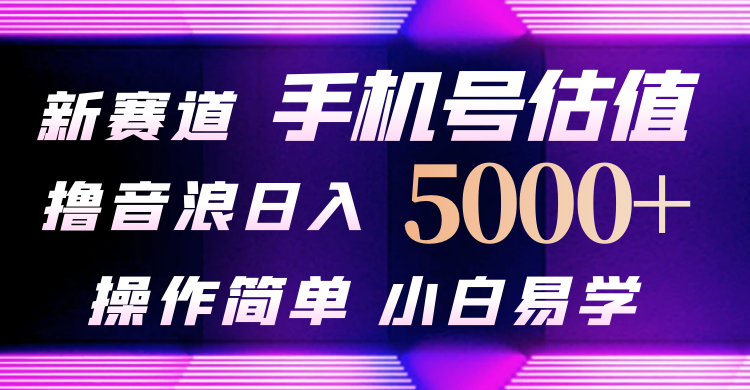 抖音不出境直播【手机号估值】最新撸音浪，日入5000+-网亿资源平台