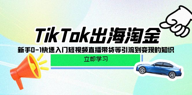 TikTok-出海淘金，新手0-1快速入门短视频直播带货等引流到变现的知识-网亿资源平台