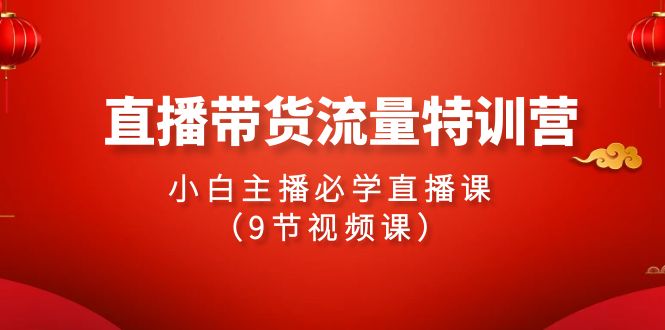 2024直播带货流量特训营，小白主播必学直播课（9节视频课）-网亿资源平台