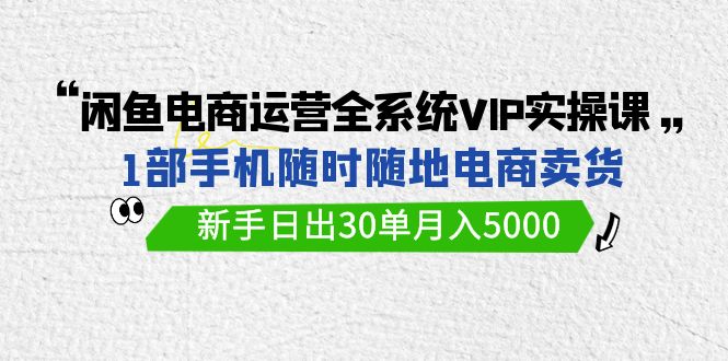 闲鱼电商运营全系统VIP实战课，1部手机随时随地卖货，新手日出30单月入5000-网亿资源平台
