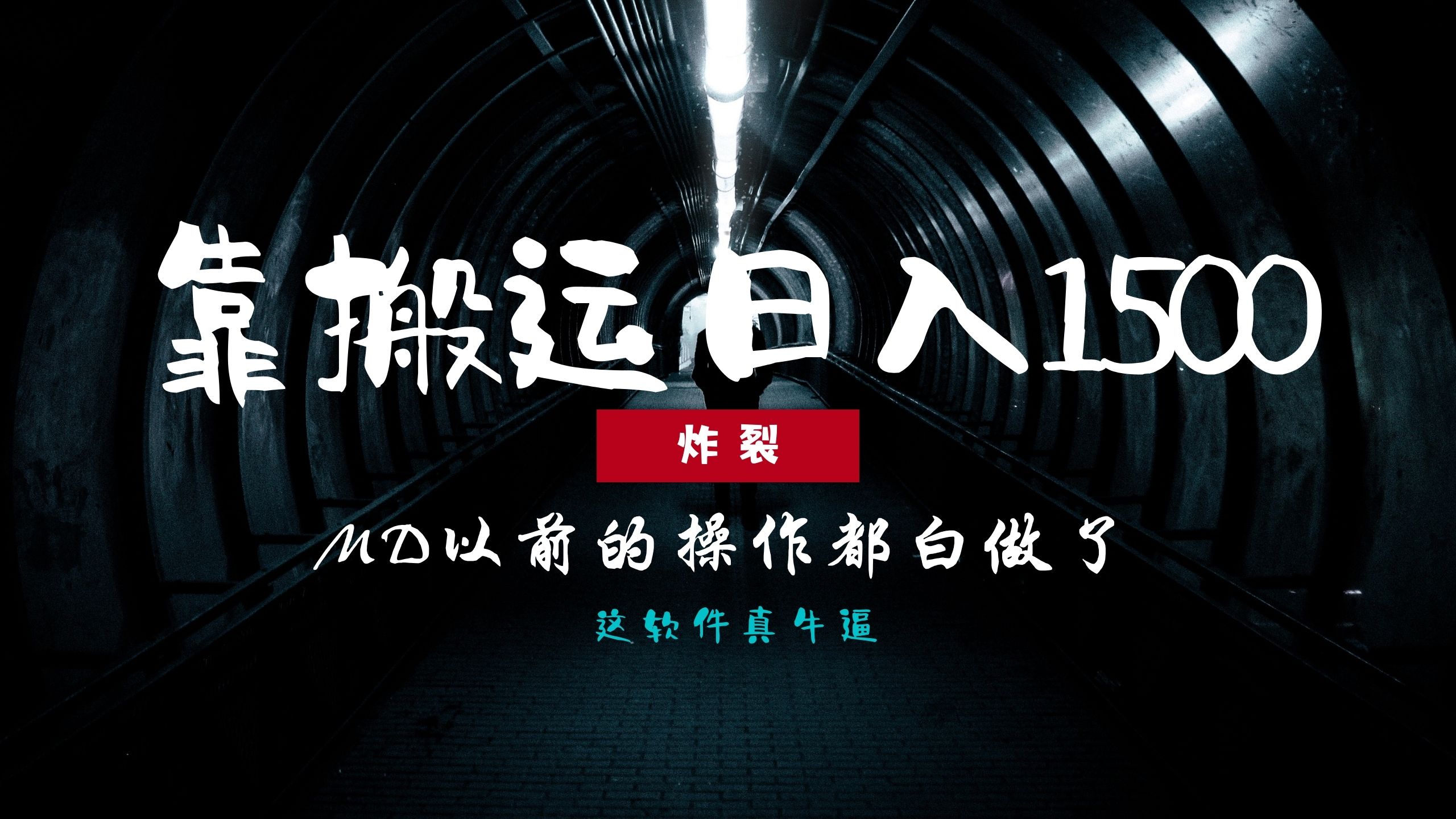 炸裂！0基础搬运也能批量日赚1500+-网亿资源平台