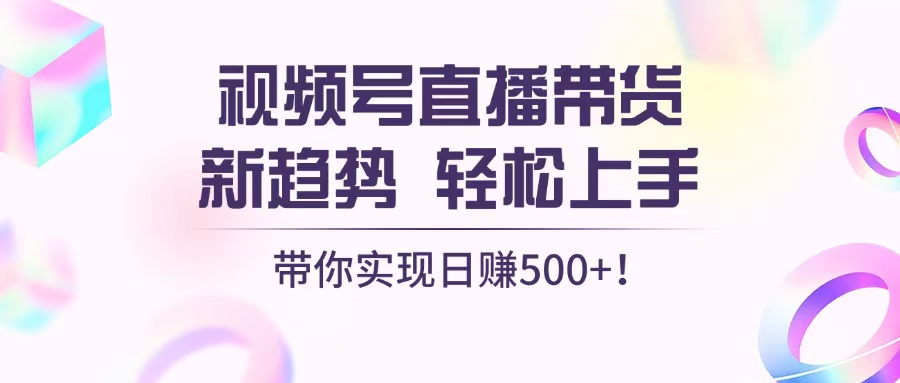 视频号直播带货新趋势，轻松上手，带你实现日赚500+-网亿资源平台