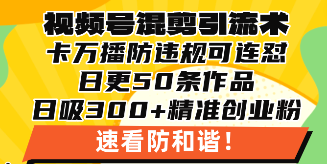 视频号混剪引流技术，500万播放引流17000创业粉，操作简单当天学会-网亿资源平台
