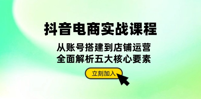 抖音 电商实战课程：从账号搭建到店铺运营，全面解析五大核心要素-网亿资源平台