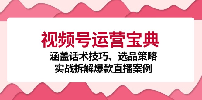视频号运营宝典：涵盖话术技巧、选品策略、实战拆解爆款直播案例-网亿资源平台