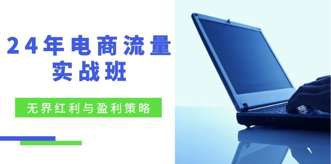 24年电商流量实战班：无界红利与盈利策略，终极提升-网亿资源平台