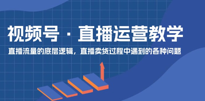 视频号 直播运营教学：直播流量的底层逻辑，直播卖货过程中遇到的各种问题-网亿资源平台