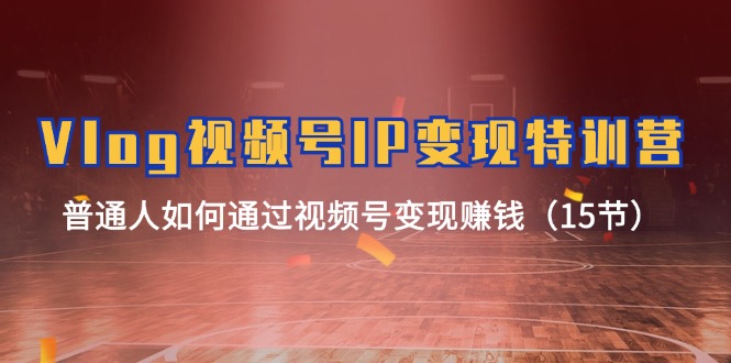 Vlog 视频号IP变现特训营，普通人如何通过视频号变现赚钱-网亿资源平台