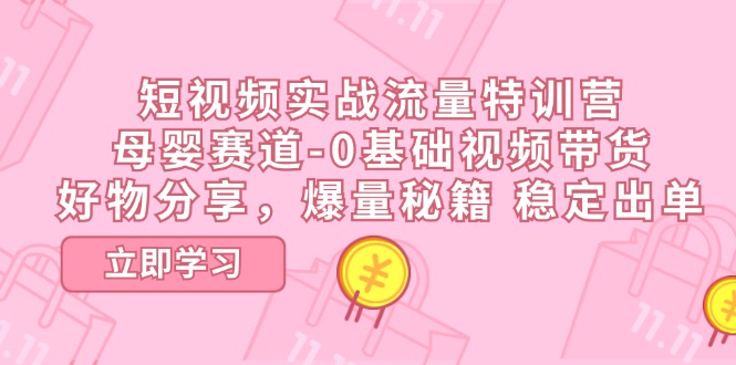 短视频实战流量特训营，母婴赛道-0基础带货-网亿资源平台