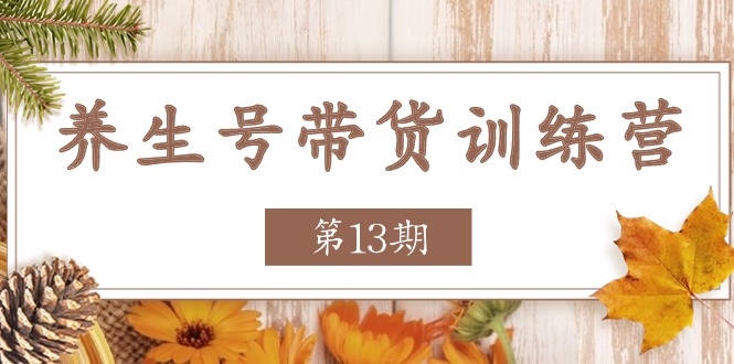 养生号-带货训练营【第13期】收益更稳定的玩法，让你带货收益爆炸-网亿资源平台