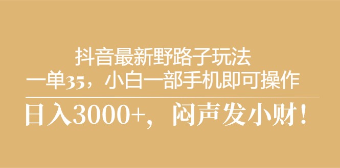 抖音最新野路子玩法，一单35，小白一部手机即可操作-网亿资源平台