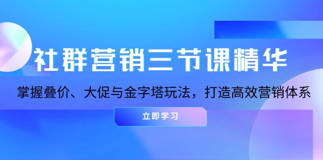 社群营销三节课精华：掌握叠价、大促与金字塔玩法，打造高效营销体系-网亿资源平台