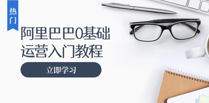 阿里巴巴运营零基础入门教程：涵盖开店、运营、推广，快速成为电商高手-网亿资源平台