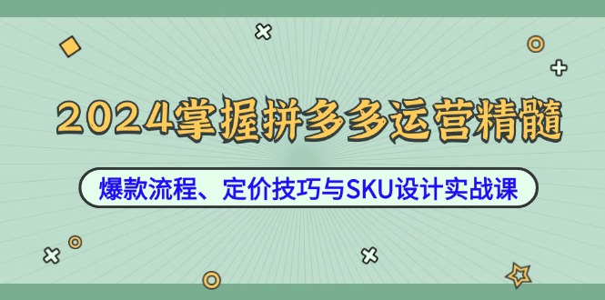 2024掌握拼多多运营精髓：爆款流程、定价技巧与SKU设计实战课-网亿资源平台