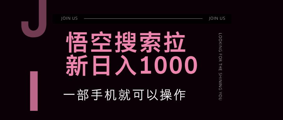 悟空搜索类拉新 蓝海项目 一部手机就可以操作-网亿资源平台