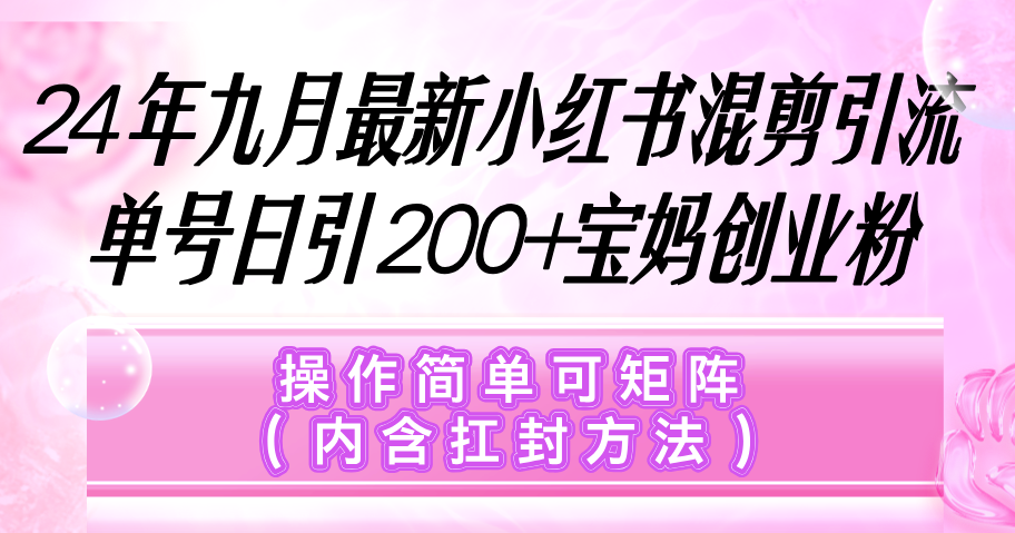 小红书混剪引流，单号日引200+宝妈创业粉，操作简单可矩阵-网亿资源平台