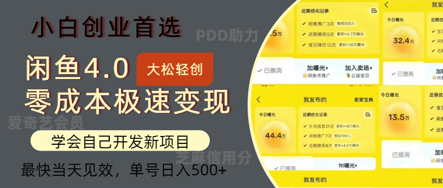 闲鱼0成本极速变现项目，多种变现方式 单号日入500+-网亿资源平台