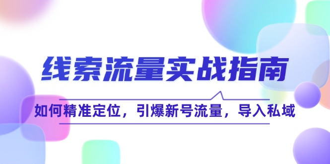 线 索 流 量-实战指南：如何精准定位，引爆新号流量，导入私域-网亿资源平台